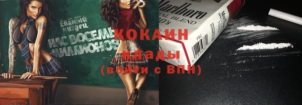 молекула духа Алексин