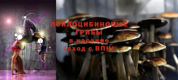таблы Протвино