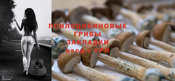 молекула духа Алексин