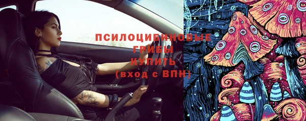 прущая мука Алзамай