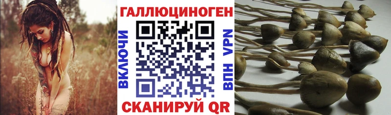 Галлюциногенные грибы прущие грибы  купить  цена  Арсеньев 