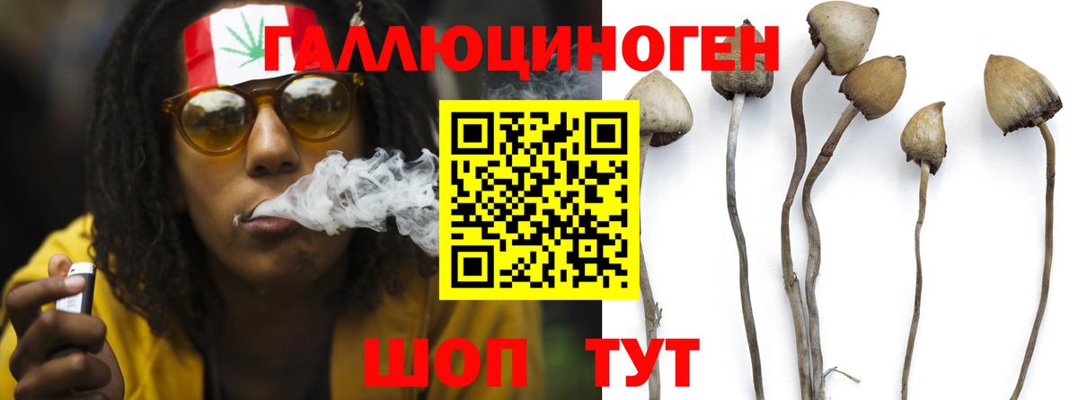 Галлюциногенные грибы мухоморы  Вход с VPN  Арсеньев  сколько стоит  Псилоцибиновые грибы Psilocybe 